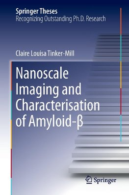 Nanoscale Imaging and Characterisation of Amyloid-ß