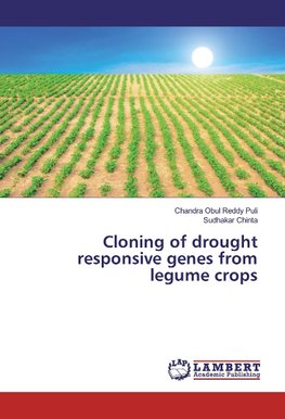 Cloning of drought responsive genes from legume crops