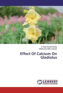 Effect Of Calcium On Gladiolus