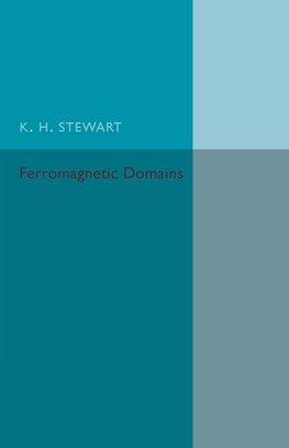 Ferromagnetic Domains