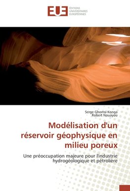 Modélisation d'un réservoir géophysique en milieu poreux