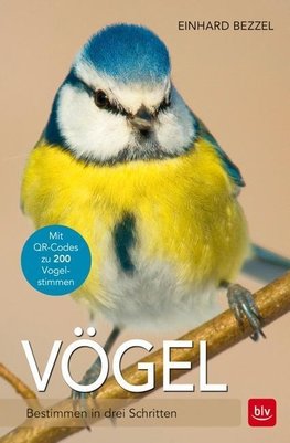 Vögel