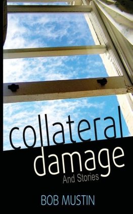 Collateral Damage and Stories