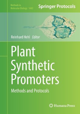 Plant Synthetic Promoters