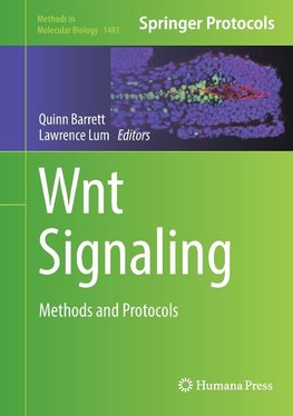 Wnt Signaling