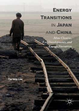 Energy Transitions in Japan and China