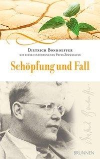 Schöpfung und Fall