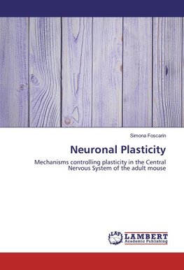 Neuronal Plasticity