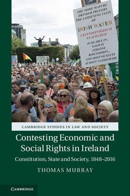 Contesting Economic and Social Rights in Ireland