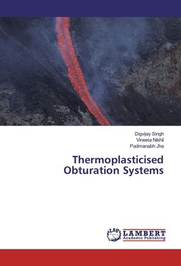 Thermoplasticised Obturation Systems