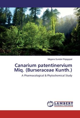 Canarium patentinervium Miq. (Burseraceae Kunth.)