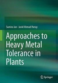 APPROACHES TO HEAVY METAL TOLE