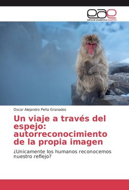 Un viaje a través del espejo: autorreconocimiento de la propia imagen