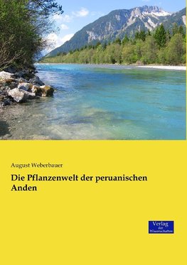 Die Pflanzenwelt der peruanischen Anden