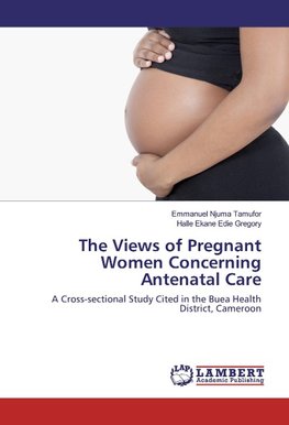 The Views of Pregnant Women Concerning Antenatal Care