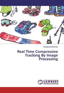 Real Time Compressive Tracking By Image Processing