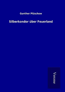 Silberkondor über Feuerland