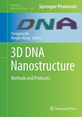 3D DNA Nanostructure