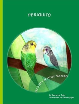 Periquito