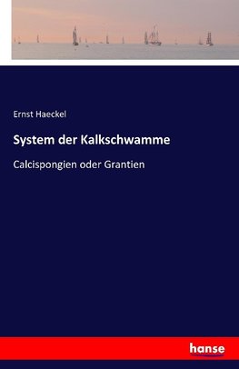 System der Kalkschwamme