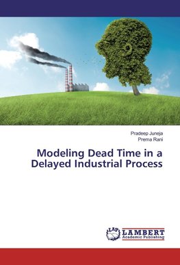 Modeling Dead Time in a Delayed Industrial Process