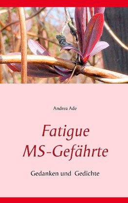 Fatigue  MS-Gefährte