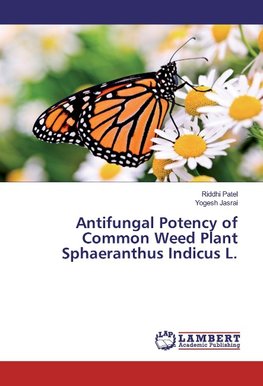 Antifungal Potency of Common Weed Plant Sphaeranthus Indicus L.