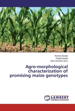 Agro-morphological characterization of promising maize genotypes