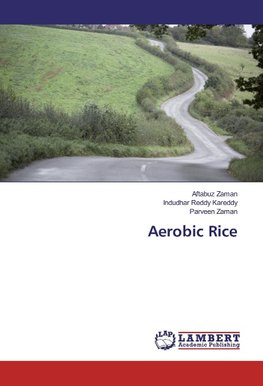 Aerobic Rice