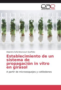 Establecimiento de un sistema de propagación in vitro en girasol