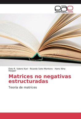 Matrices no negativas estructuradas