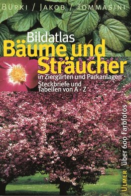 Bildatlas Bäume und Sträucher in Ziergärten und Parkanlagen