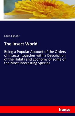 The Insect World