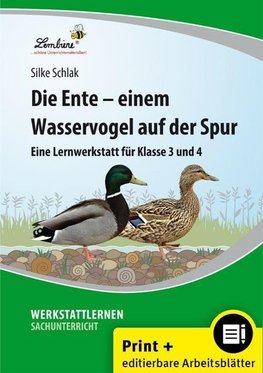 Die Ente - einem Wasservogel auf der Spur (Set)