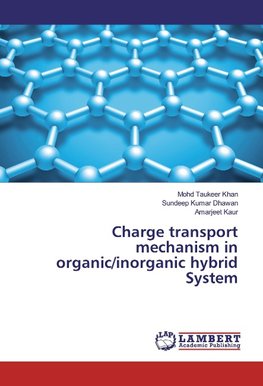 Charge transport mechanism in organic/inorganic hybrid System