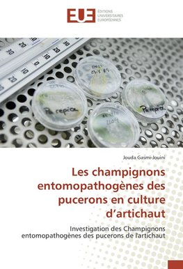 Les champignons entomopathogènes des pucerons en culture d'artichaut