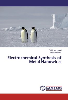 Electrochemical Synthesis of Metal Nanowires