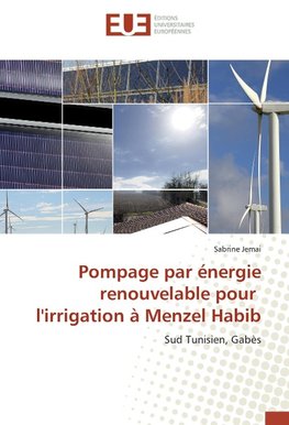 Pompage par énergie renouvelable pour l'irrigation à Menzel Habib