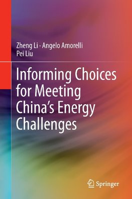 Informing Choices for Meeting China's Energy Challenges