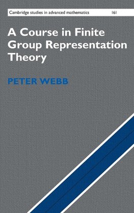 A Course in Finite Group Representation Theory