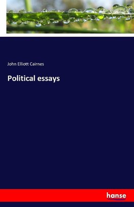 Political essays