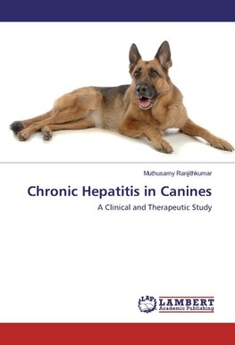 Chronic Hepatitis in Canines