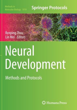 Neural Development