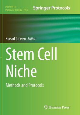 Stem Cell Niche