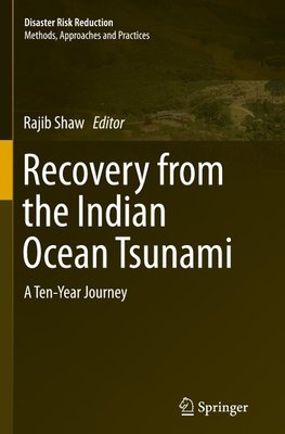 Recovery from the Indian Ocean Tsunami