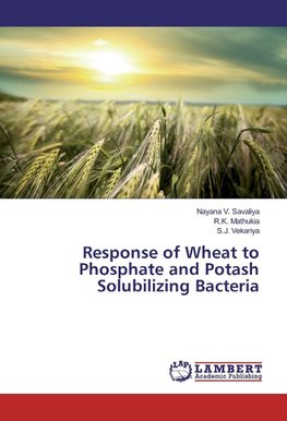 Response of Wheat to Phosphate and Potash Solubilizing Bacteria