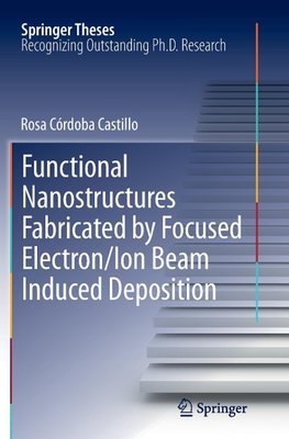 Functional Nanostructures Fabricated by Focused Electron/Ion Beam Induced Deposition