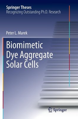 Biomimetic Dye Aggregate Solar Cells