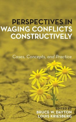 Perspectives in Waging Conflicts Constructively