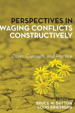 Perspectives in Waging Conflicts Constructively